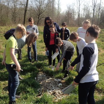 Natuureducatie De Scheeken