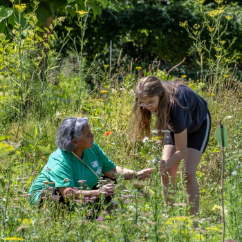 LOEK@SUMMER en LOEK@WINTER